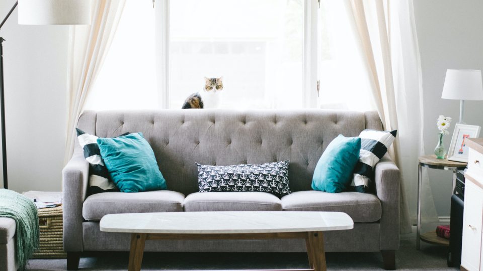 Close up of gray sofa with blue pillows